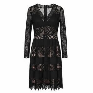 BEBE Maxi Dress Womens 4 Black Lace Sheer Whimsigoth Goth Witchy Girl Gothic
